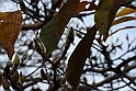 Parco Europa Autunno_018
